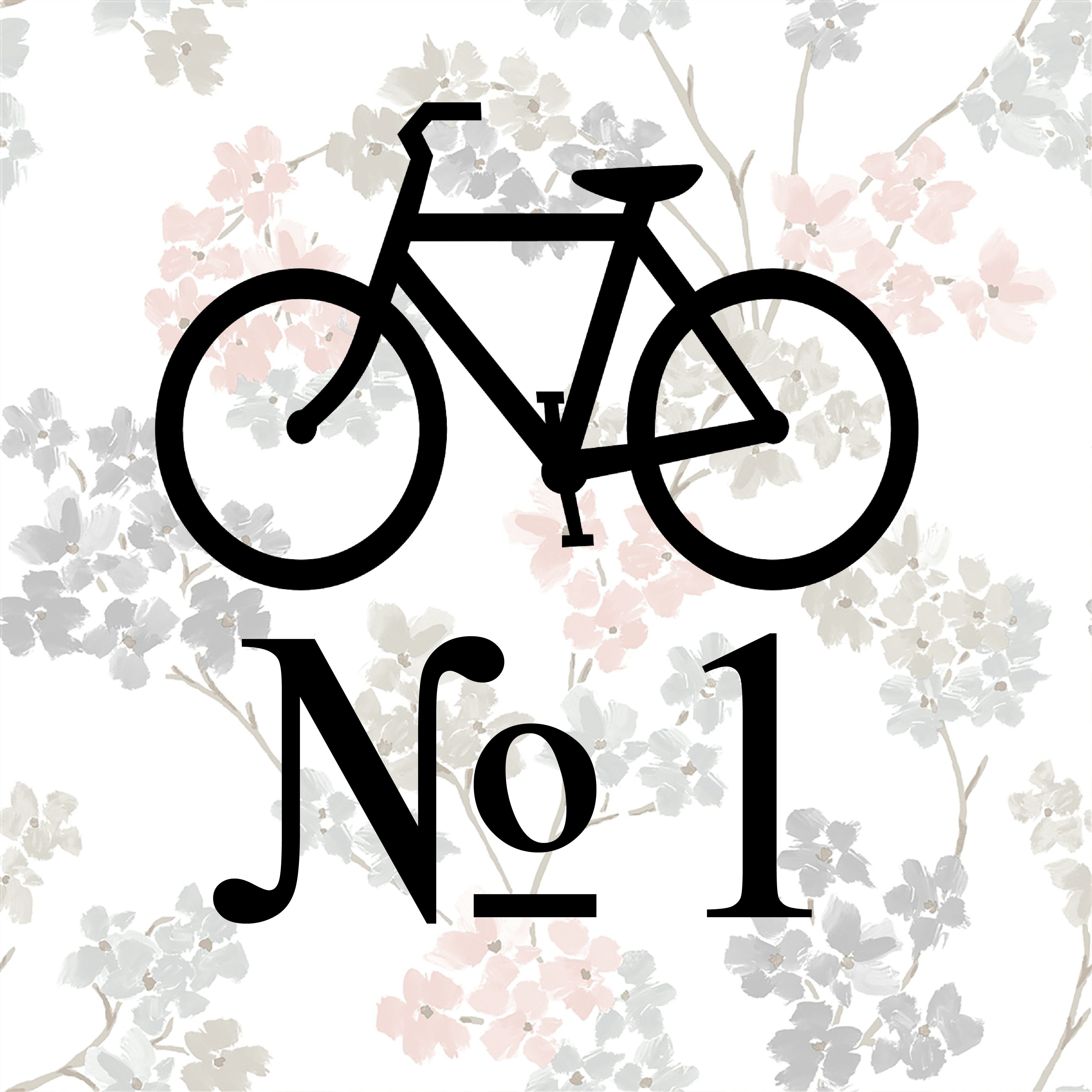 bike no-2-01-02-01